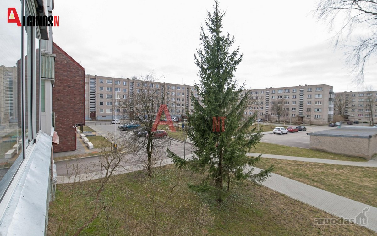 Klaipėdoje, Šilutės pl. parduodamas 3-jų - nuotraukos Nr. 10