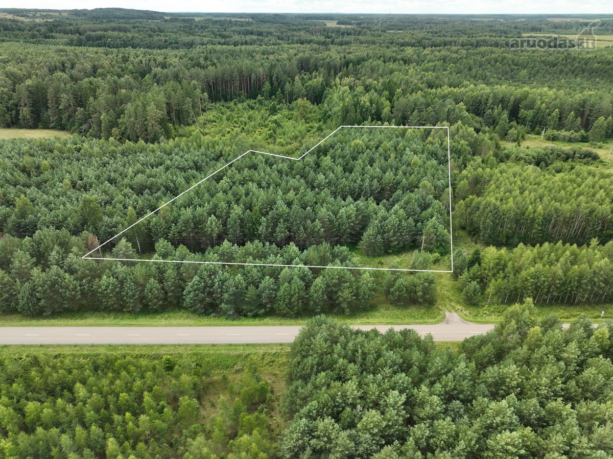 Parduodamas 1,04 ha miško paskirties sklypas.  - nuotraukos Nr. 2