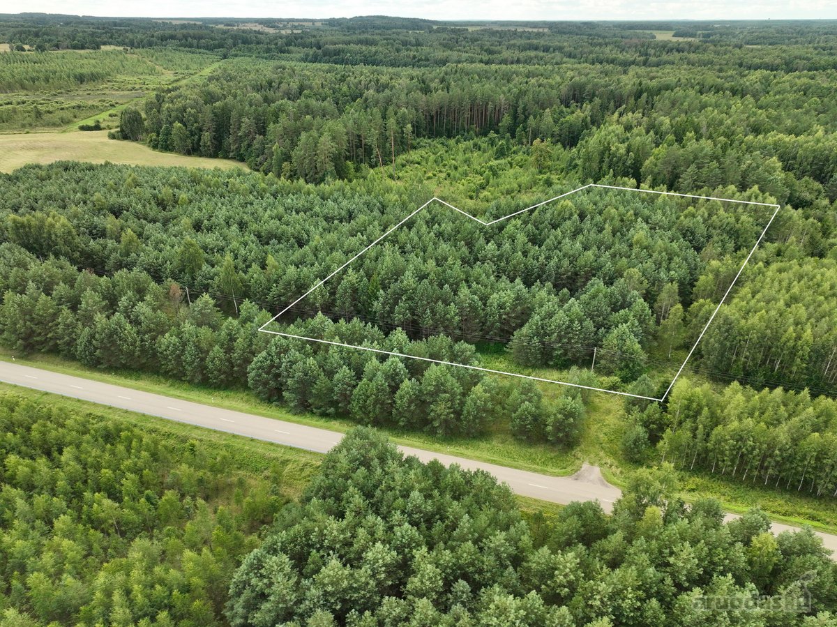 Parduodamas 1,04 ha miško paskirties sklypas.  - nuotraukos Nr. 3