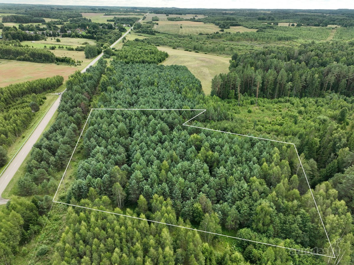 Parduodamas 1,04 ha miško paskirties sklypas.  - nuotraukos Nr. 5