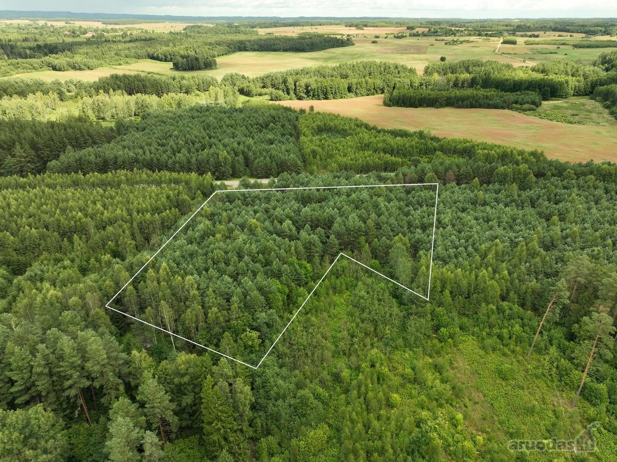 Parduodamas 1,04 ha miško paskirties sklypas.  - nuotraukos Nr. 6