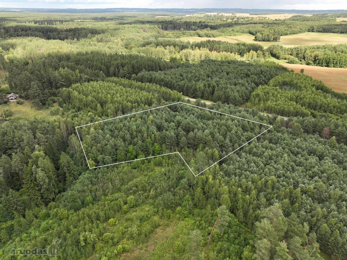 Parduodamas 1,04 ha miško paskirties sklypas.  - nuotraukos Nr. 7