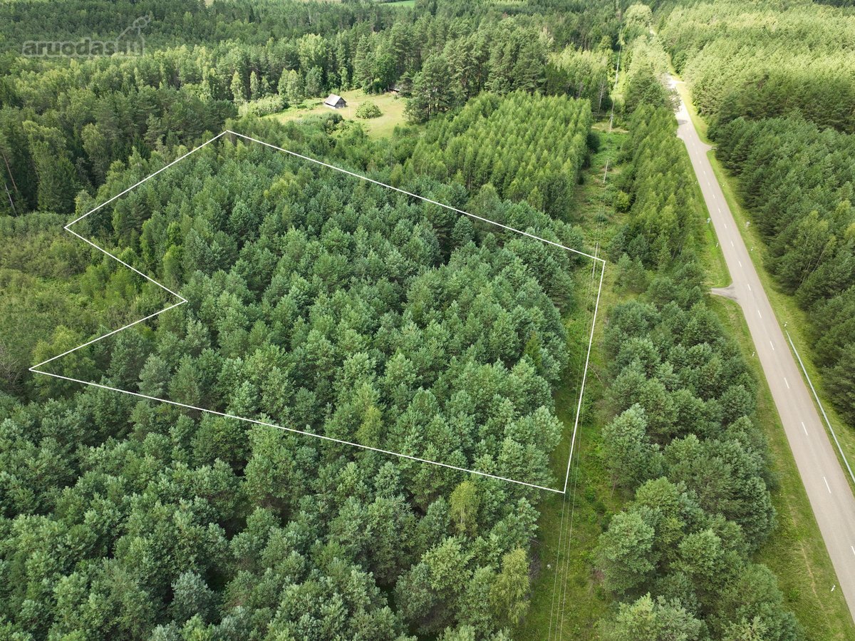 Parduodamas 1,04 ha miško paskirties sklypas.  - nuotraukos Nr. 10
