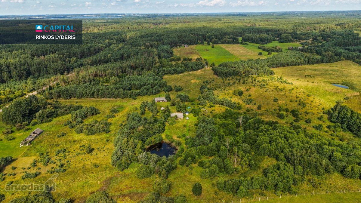 Unikalioje Vietoje, Apsuptoje Miškų Ir - nuotraukos Nr. 2