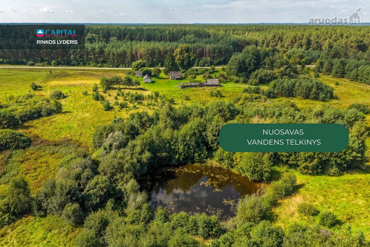 Unikalioje Vietoje, Apsuptoje Miškų Ir - nuotraukos Nr. 3