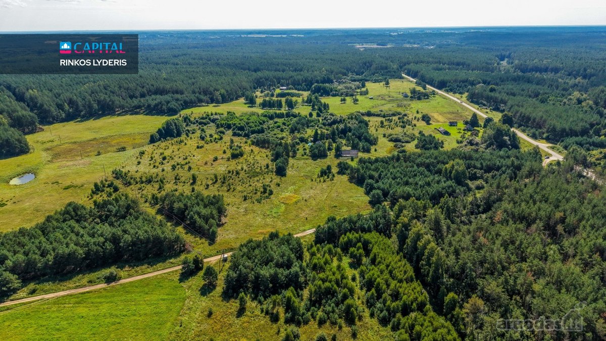Unikalioje Vietoje, Apsuptoje Miškų Ir - nuotraukos Nr. 10