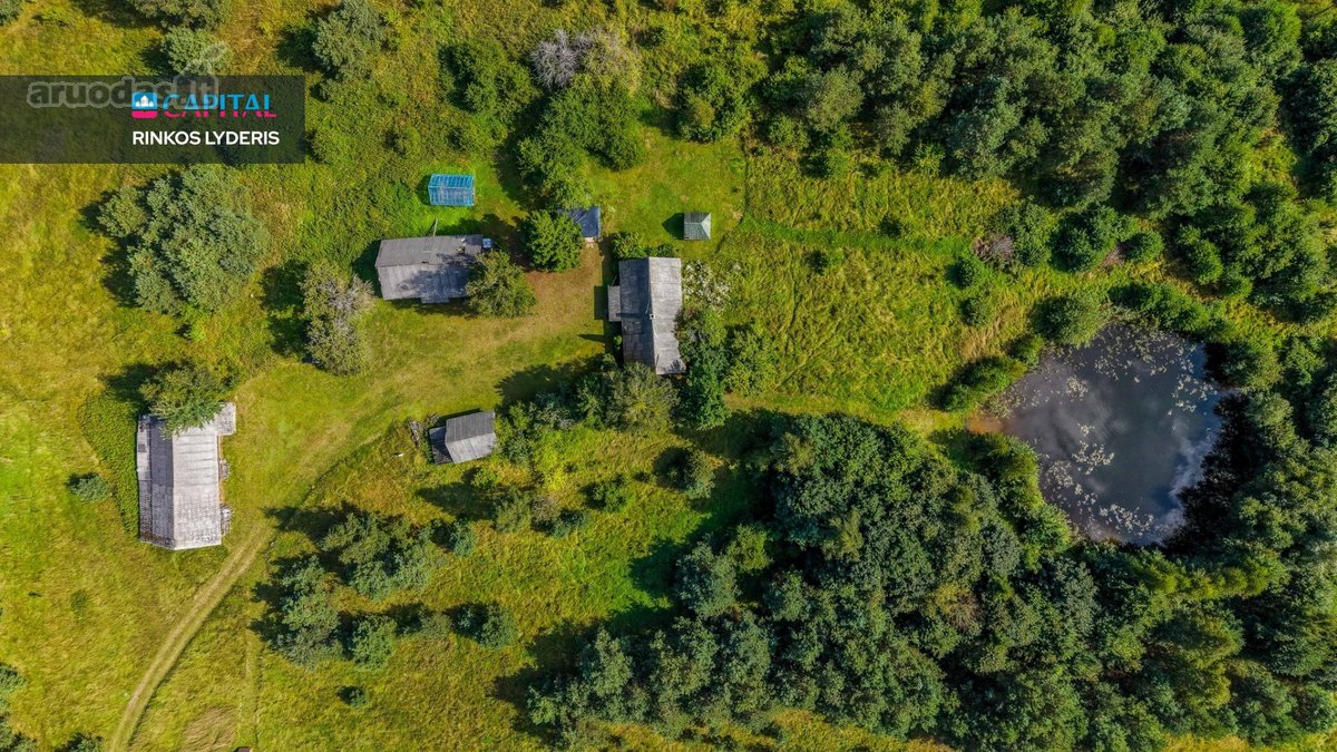 Unikalioje Vietoje, Apsuptoje Miškų Ir - nuotraukos Nr. 12