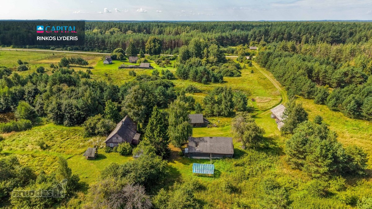 Unikalioje Vietoje, Apsuptoje Miškų Ir - nuotraukos Nr. 18