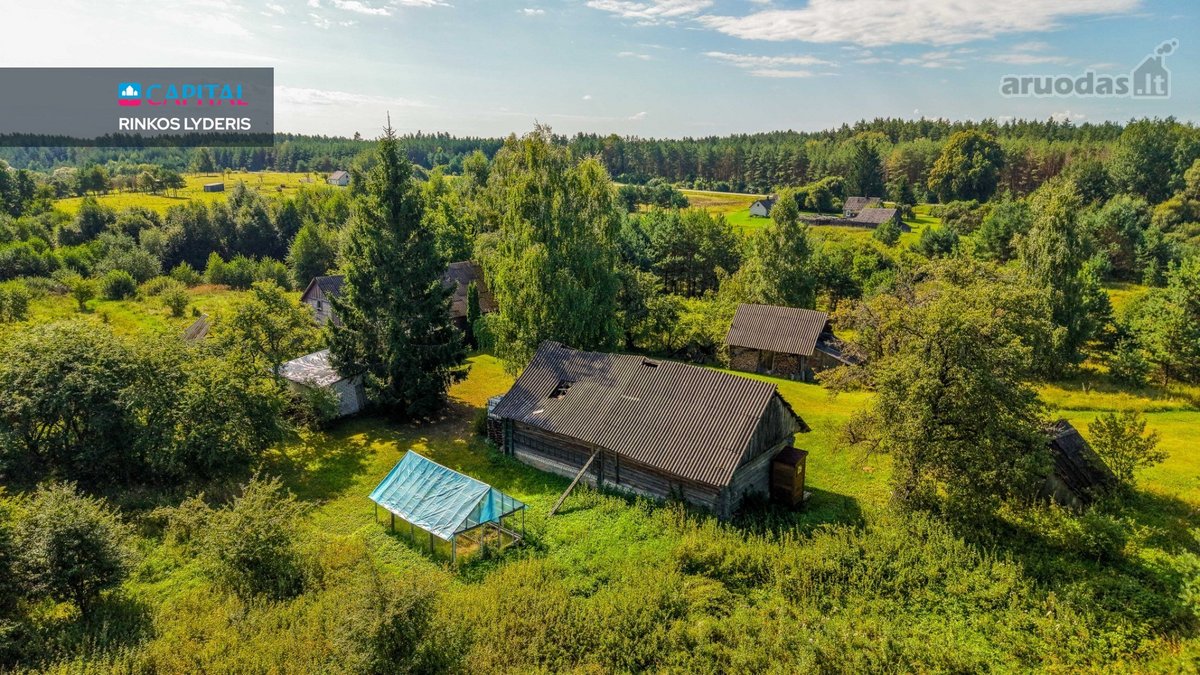 Unikalioje Vietoje, Apsuptoje Miškų Ir - nuotraukos Nr. 21