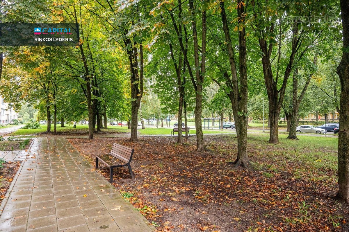 Nuomojamas Jaukus 2 Kambarių Butas Žirmūnuose - nuotraukos Nr. 24