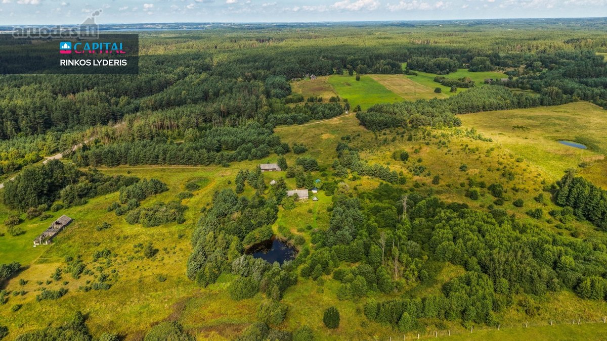 Unikalioje Vietoje, Apsuptoje Miškų Ir - nuotraukos Nr. 2