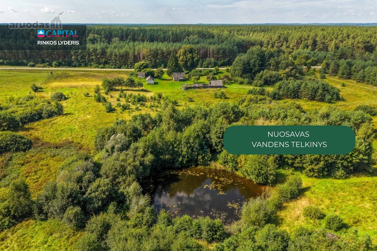 Unikalioje Vietoje, Apsuptoje Miškų Ir - nuotraukos Nr. 3