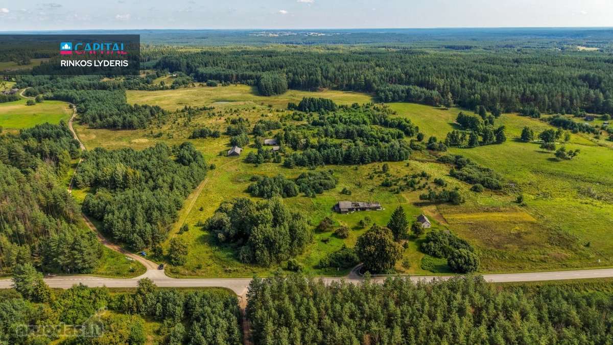 Unikalioje Vietoje, Apsuptoje Miškų Ir - nuotraukos Nr. 4