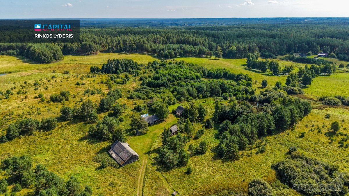 Unikalioje Vietoje, Apsuptoje Miškų Ir - nuotraukos Nr. 6