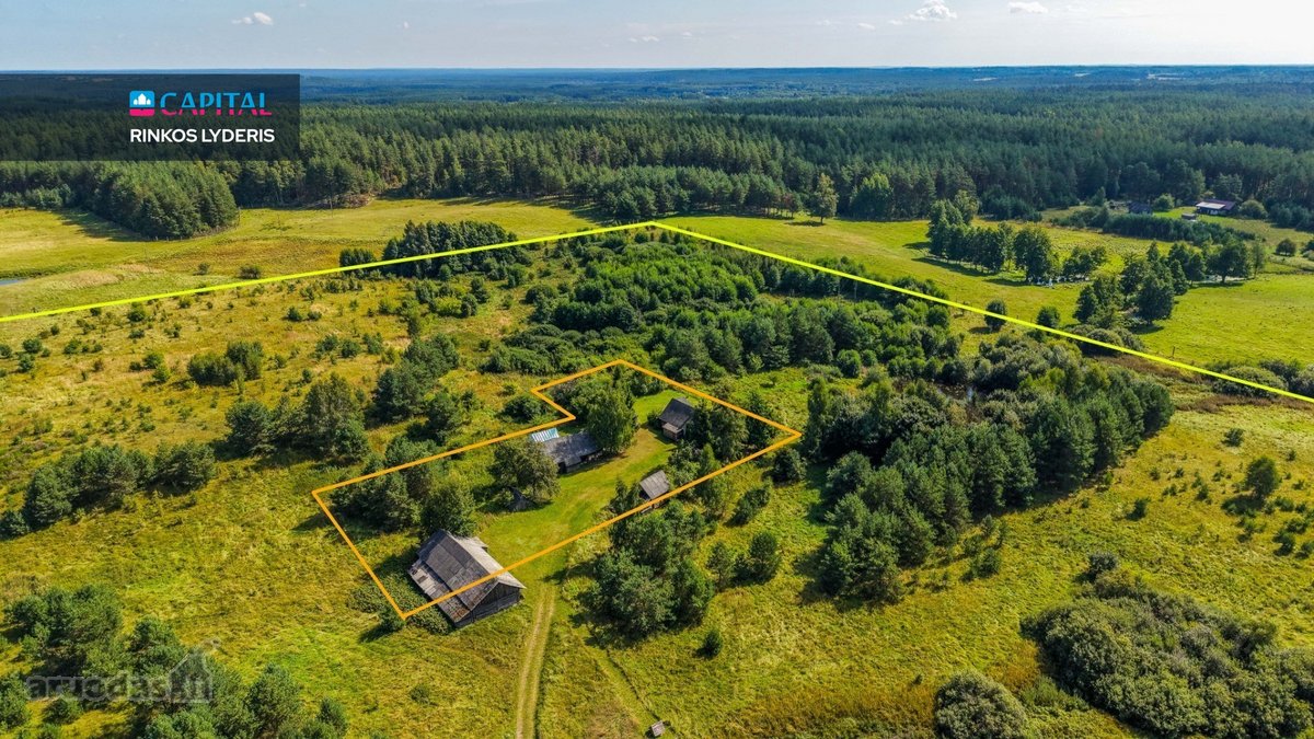 Unikalioje Vietoje, Apsuptoje Miškų Ir - nuotraukos Nr. 7