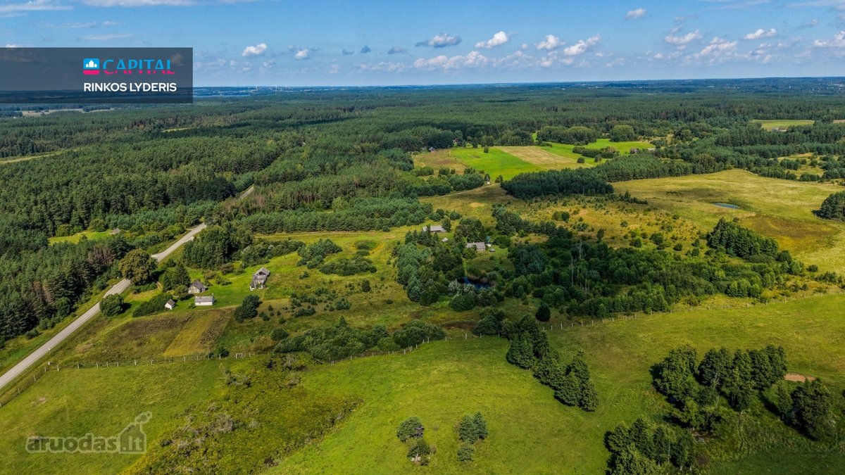 Unikalioje Vietoje, Apsuptoje Miškų Ir - nuotraukos Nr. 9