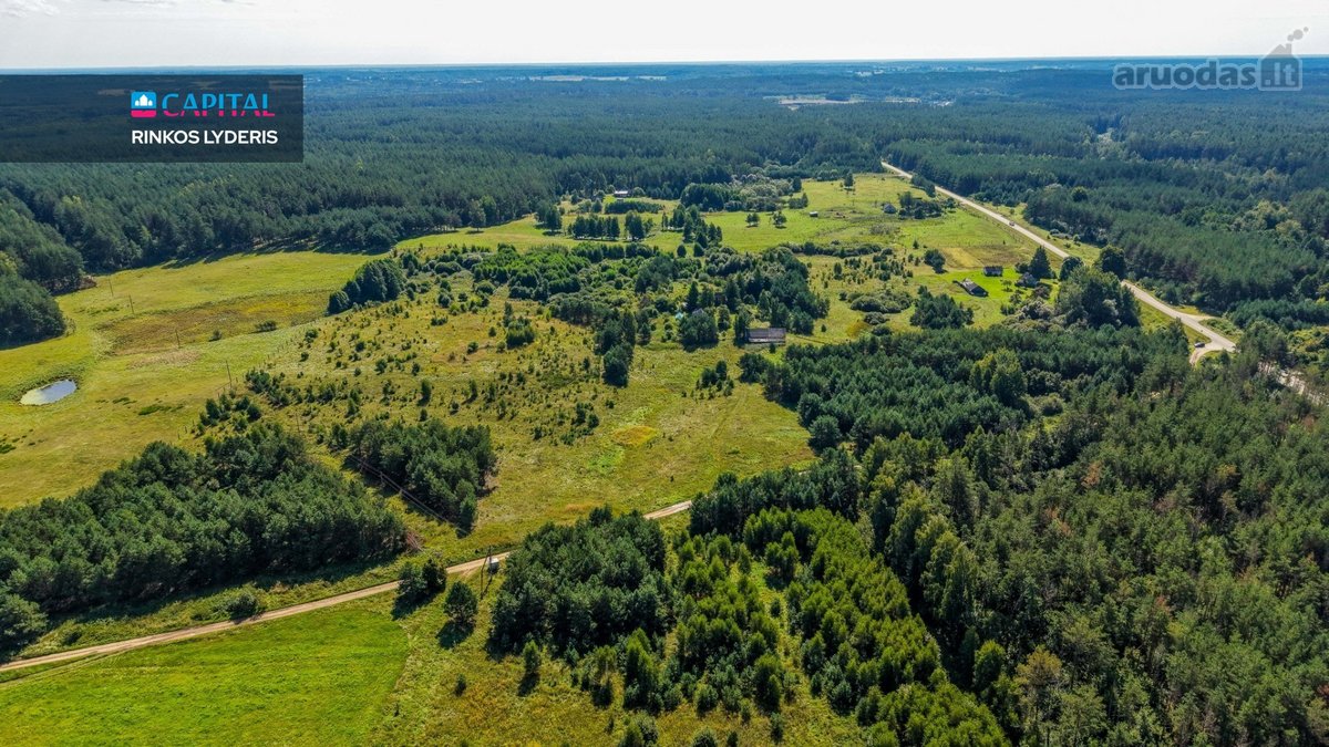 Unikalioje Vietoje, Apsuptoje Miškų Ir - nuotraukos Nr. 10