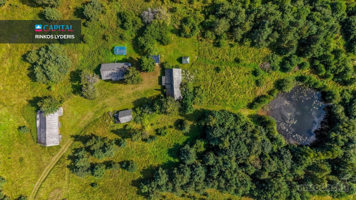Unikalioje Vietoje, Apsuptoje Miškų Ir - nuotraukos Nr. 12