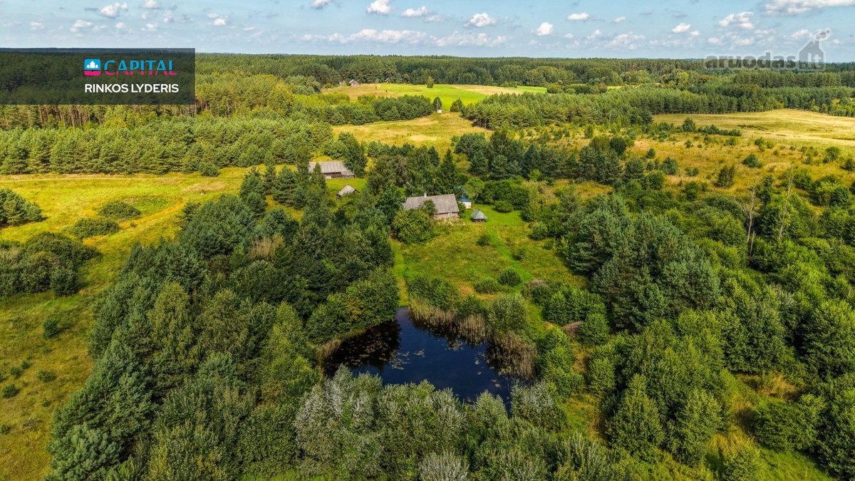 Unikalioje Vietoje, Apsuptoje Miškų Ir - nuotraukos Nr. 13