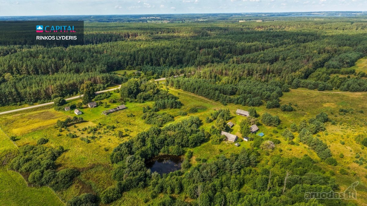 Unikalioje Vietoje, Apsuptoje Miškų Ir - nuotraukos Nr. 15