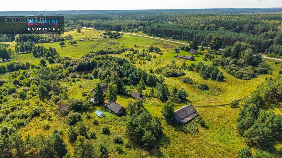 Unikalioje Vietoje, Apsuptoje Miškų Ir - nuotraukos Nr. 16
