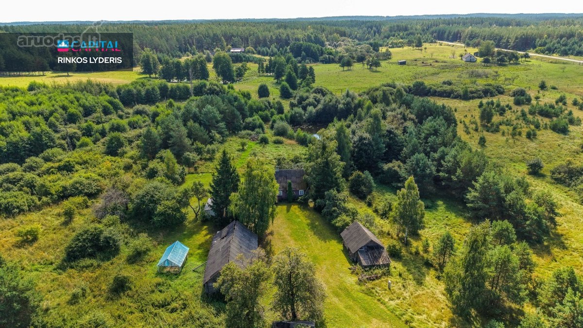 Unikalioje Vietoje, Apsuptoje Miškų Ir - nuotraukos Nr. 17
