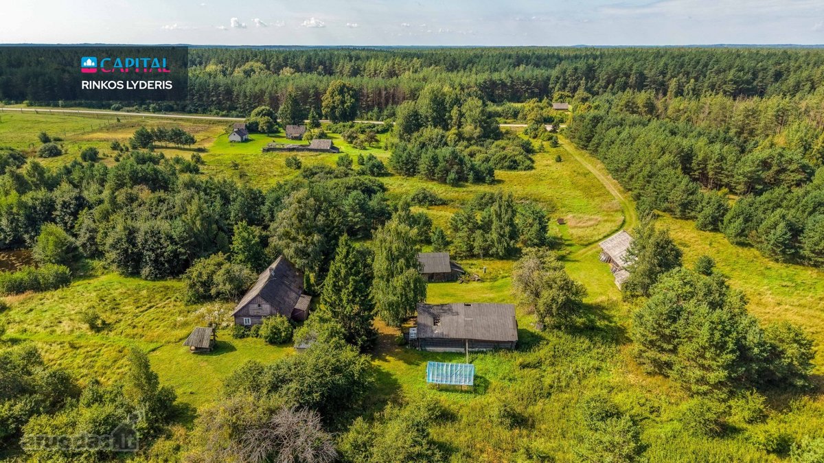 Unikalioje Vietoje, Apsuptoje Miškų Ir - nuotraukos Nr. 18