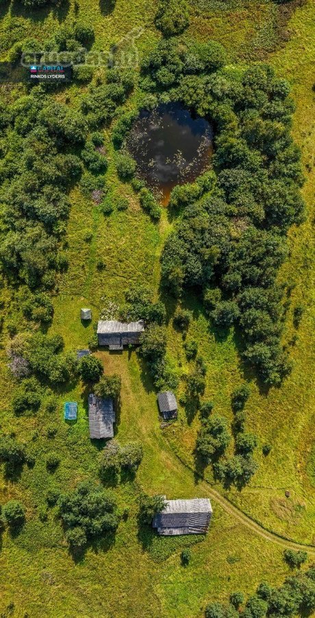 Unikalioje Vietoje, Apsuptoje Miškų Ir - nuotraukos Nr. 19