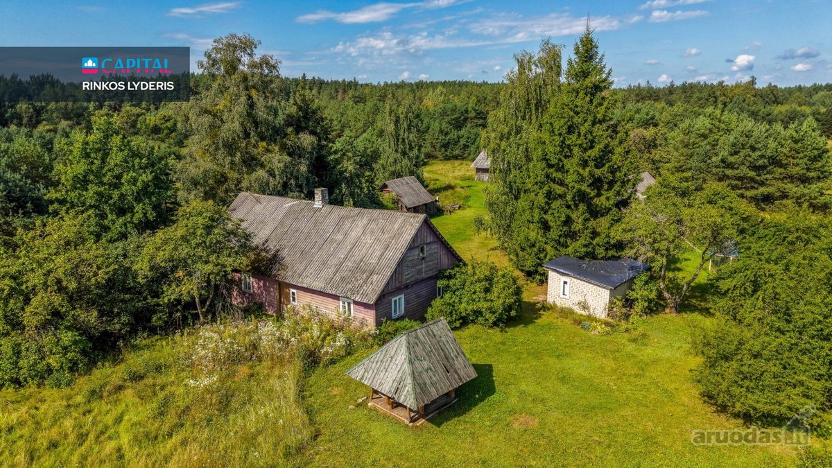 Unikalioje Vietoje, Apsuptoje Miškų Ir - nuotraukos Nr. 20