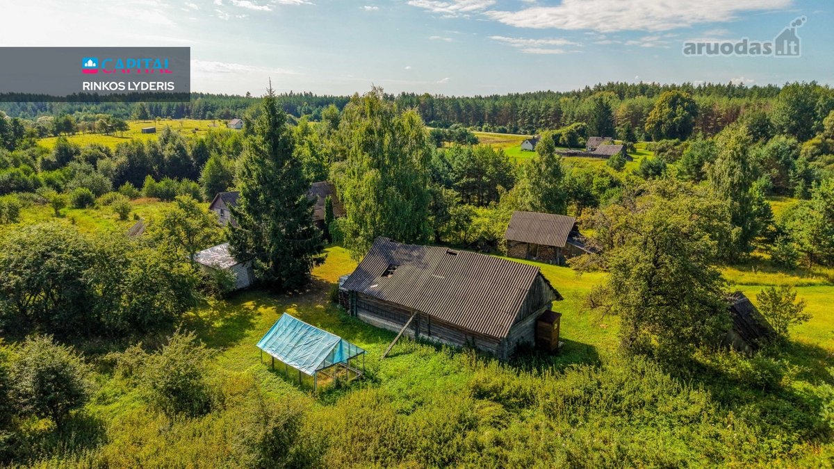 Unikalioje Vietoje, Apsuptoje Miškų Ir - nuotraukos Nr. 21