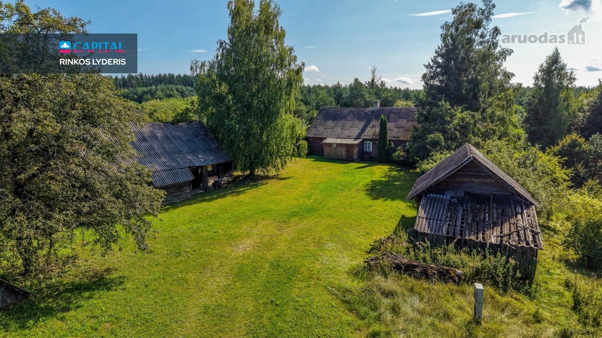 Unikalioje Vietoje, Apsuptoje Miškų Ir - nuotraukos Nr. 22