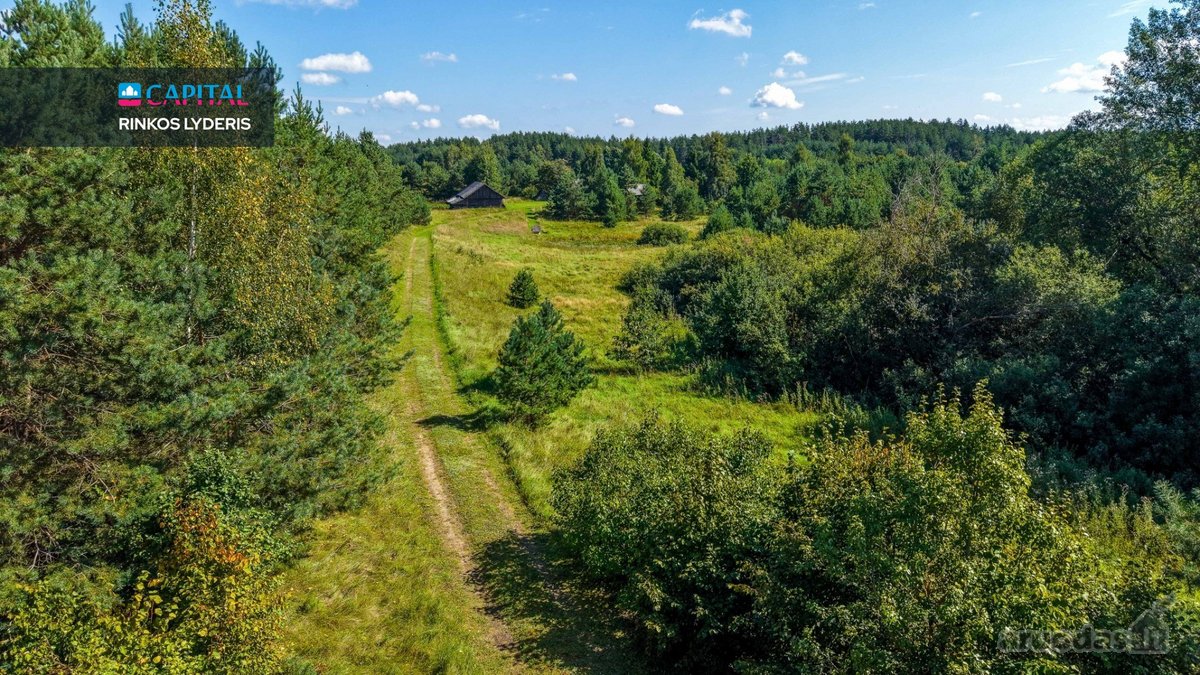 Unikalioje Vietoje, Apsuptoje Miškų Ir - nuotraukos Nr. 24