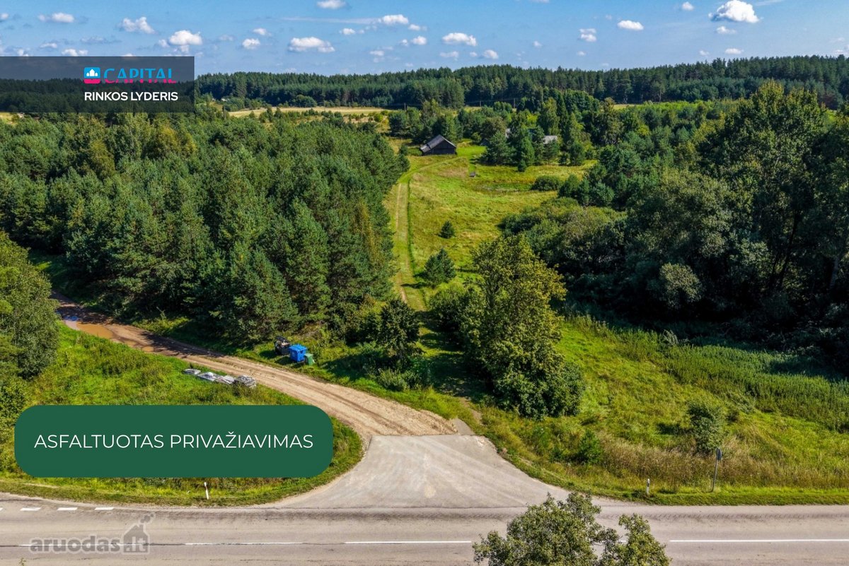Unikalioje Vietoje, Apsuptoje Miškų Ir - nuotraukos Nr. 25