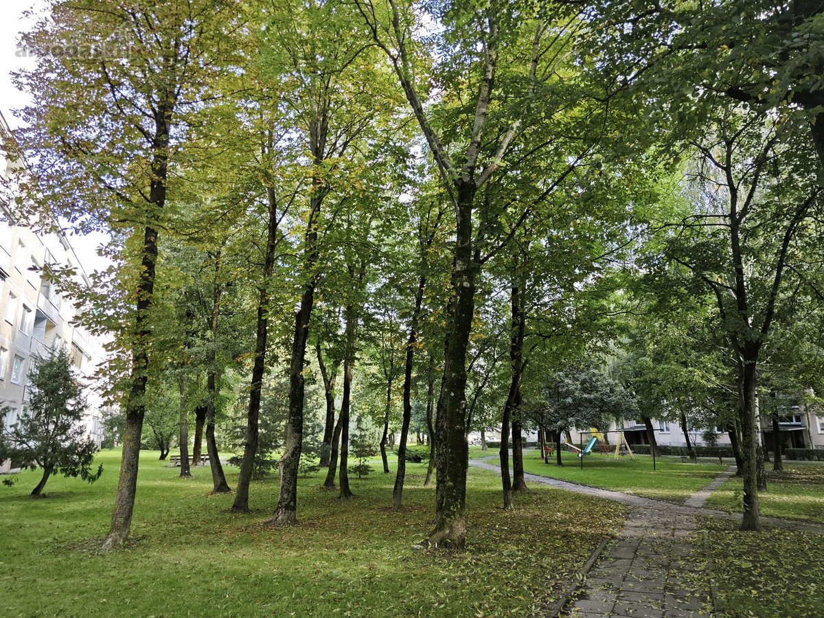 Parduodamas erdvus 4 kambarių butas Savanorių - nuotraukos Nr. 4