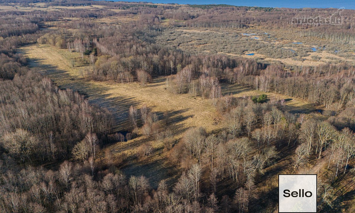  – Nt ekspertai be procentų - nuotraukos Nr. 7