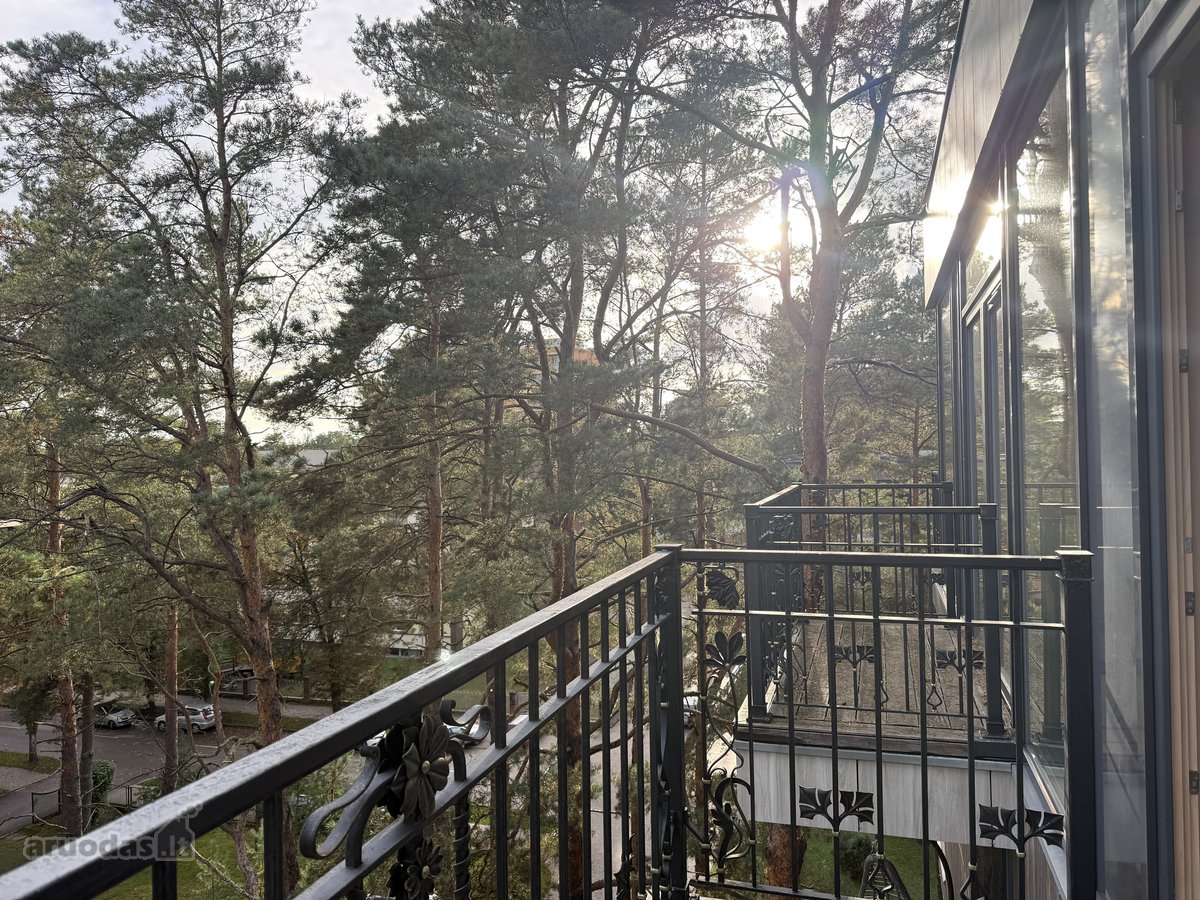 Išskirtiniai Apartamentai Šalia Nemuno – - nuotraukos Nr. 3