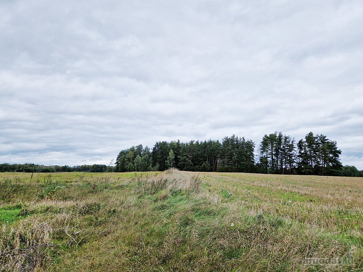 Molėtų Rajone, Tarp Asvejos Ir Labanoro - nuotraukos Nr. 2