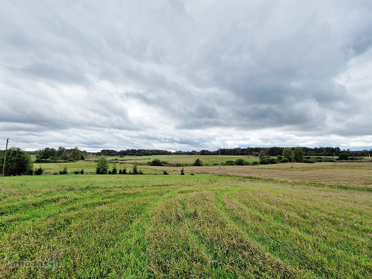 Molėtų Rajone, Tarp Asvejos Ir Labanoro - nuotraukos Nr. 4