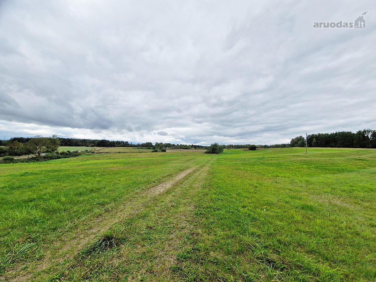 Molėtų Rajone, Tarp Asvejos Ir Labanoro - nuotraukos Nr. 5