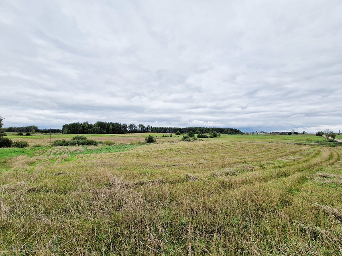 Molėtų Rajone, Tarp Asvejos Ir Labanoro - nuotraukos Nr. 8