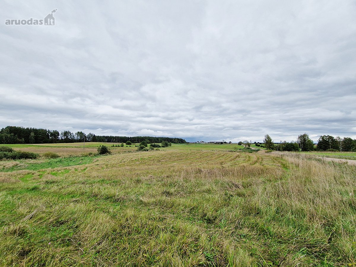 Molėtų Rajone, Tarp Asvejos Ir Labanoro - nuotraukos Nr. 9