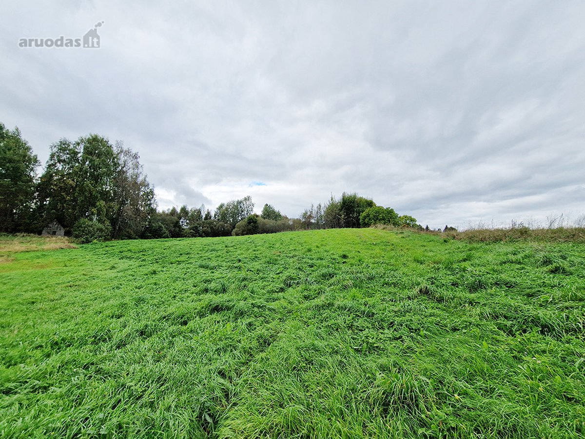 Molėtų Rajone, Tarp Asvejos Ir Labanoro - nuotraukos Nr. 10