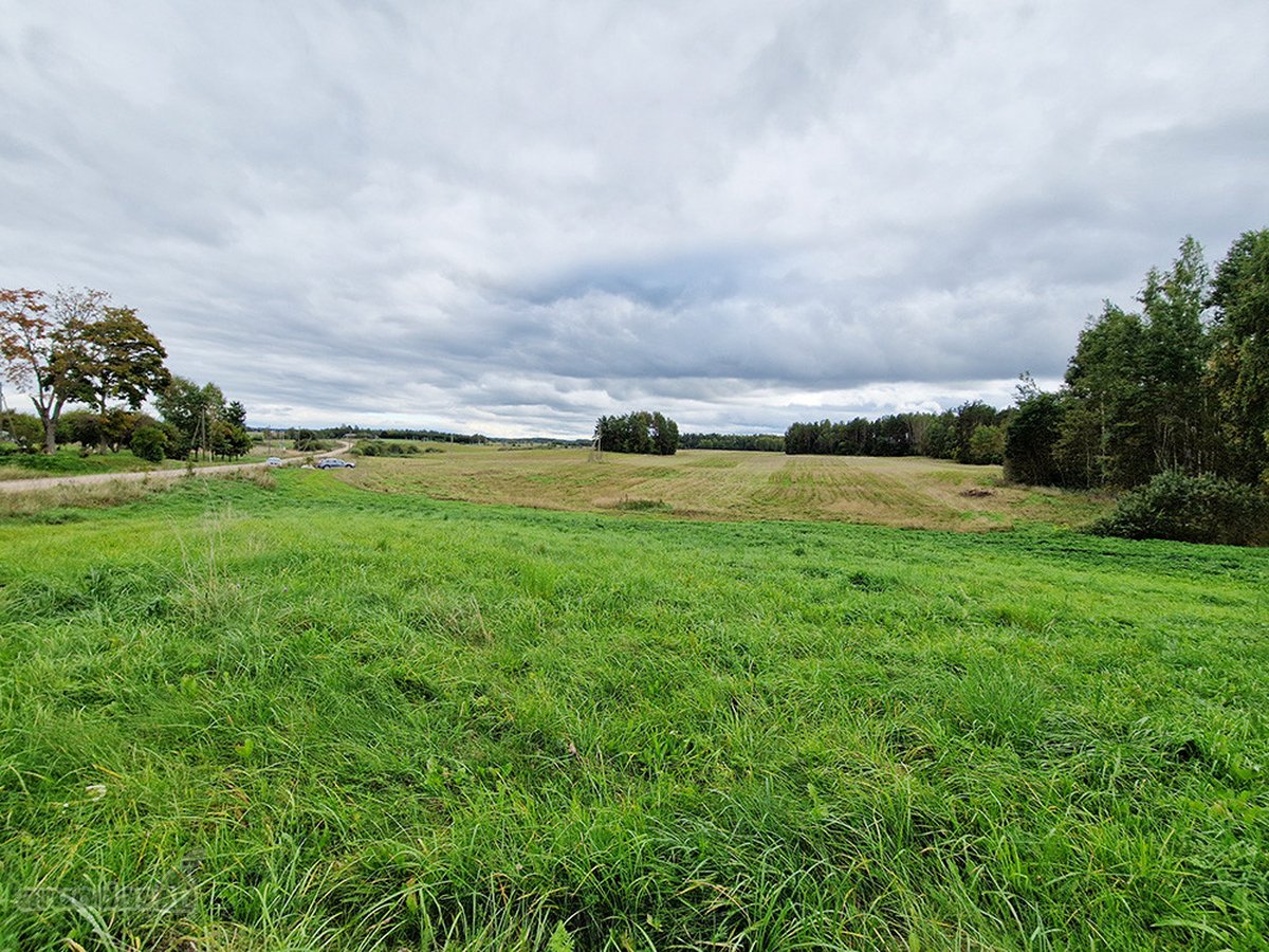 Molėtų Rajone, Tarp Asvejos Ir Labanoro - nuotraukos Nr. 11