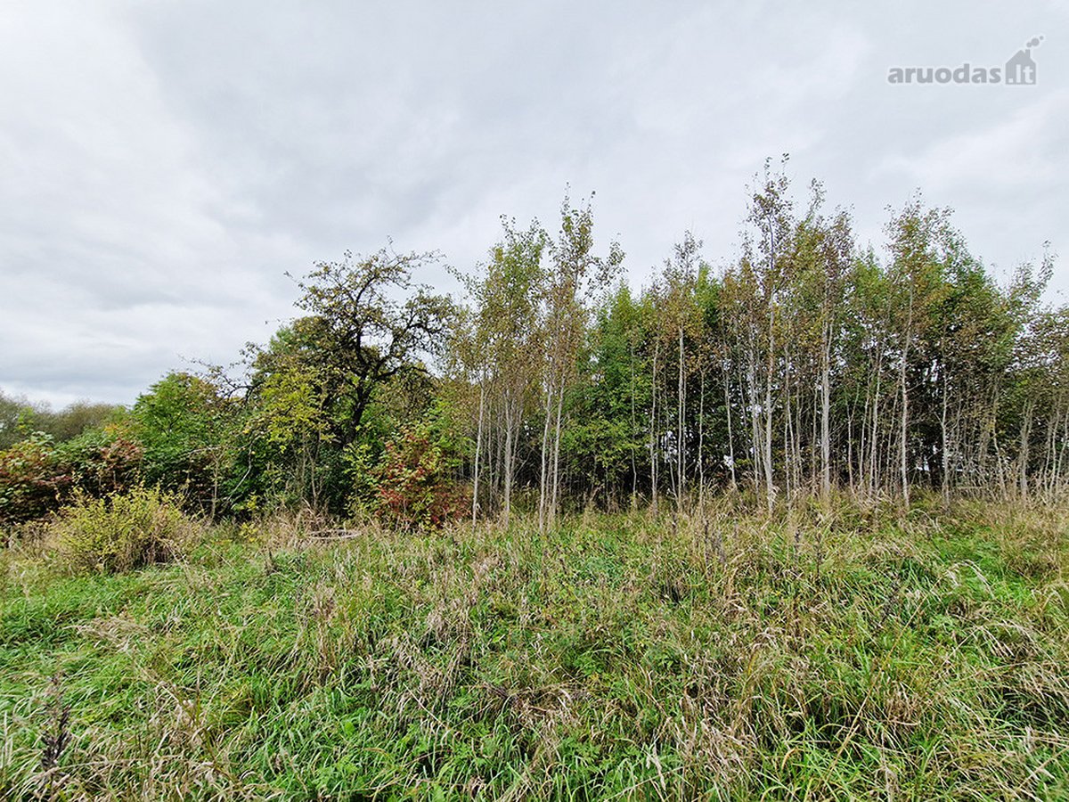 Molėtų Rajone, Tarp Asvejos Ir Labanoro - nuotraukos Nr. 12