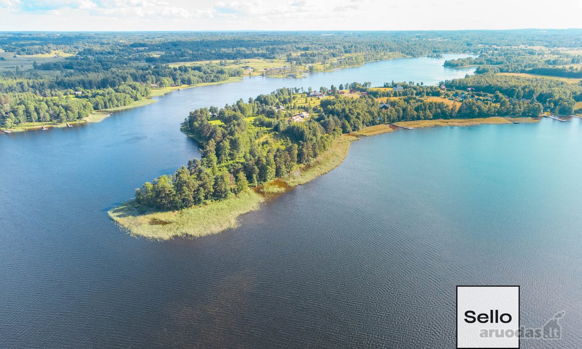  – Nt ekspertai be procentų - nuotraukos Nr. 3