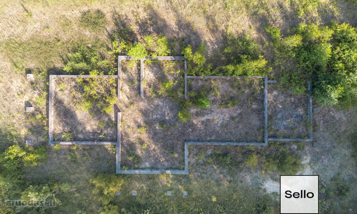  – Nt ekspertai be procentų - nuotraukos Nr. 11