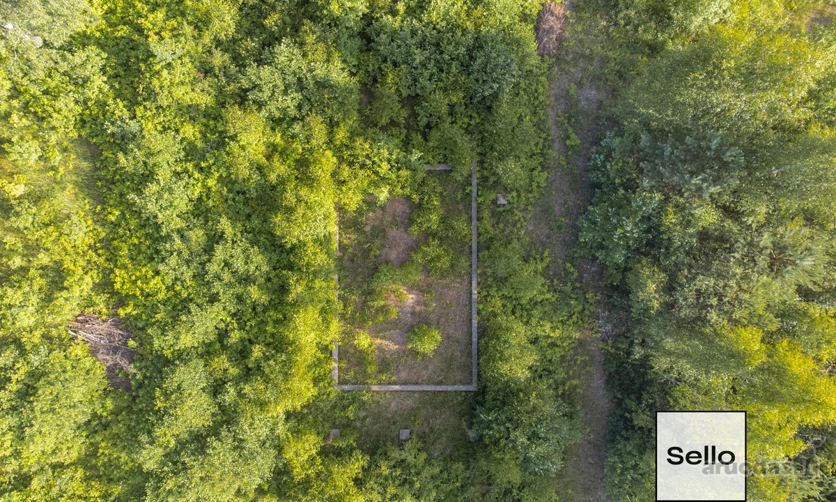  – Nt ekspertai be procentų - nuotraukos Nr. 25