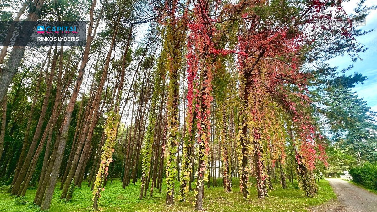 Išskirtinis Namas Šalia Lampėdžių Ežero Ir - nuotraukos Nr. 43