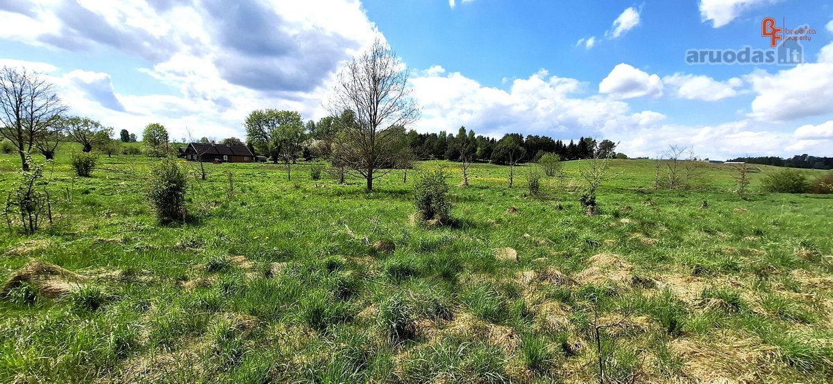 Parduodami du greta esantys sklypai Antano - nuotraukos Nr. 2