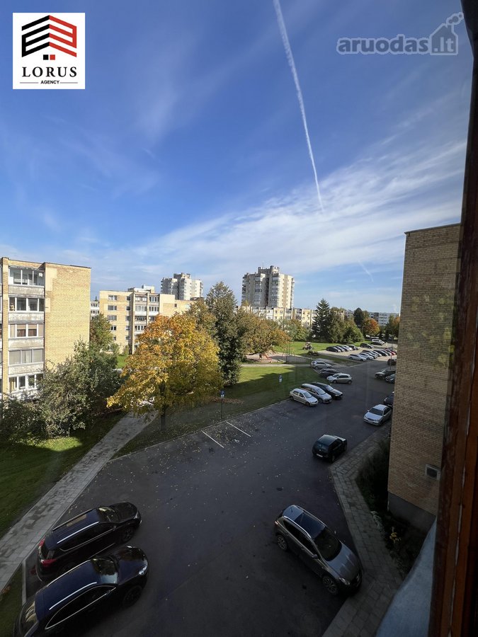 Nuomojamas Jaukus Ir Tvarkingas 2 Kambarių - nuotraukos Nr. 14